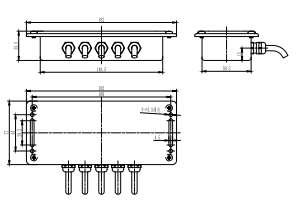 AM095B-PN Digital Indicator