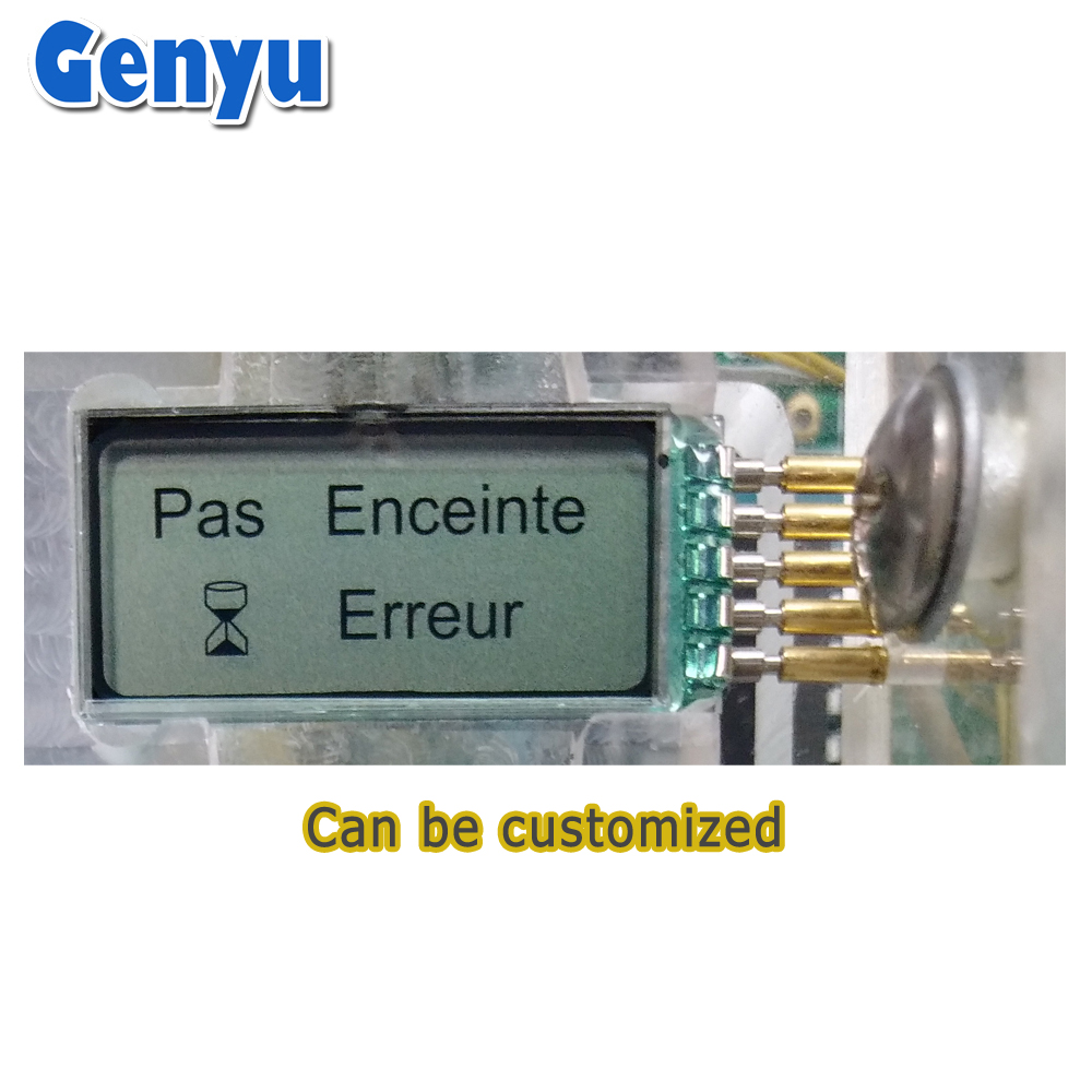 Mini Size Tn Htn Stn Fstn Va Lcd Mono digits Digital 7 Segment Display