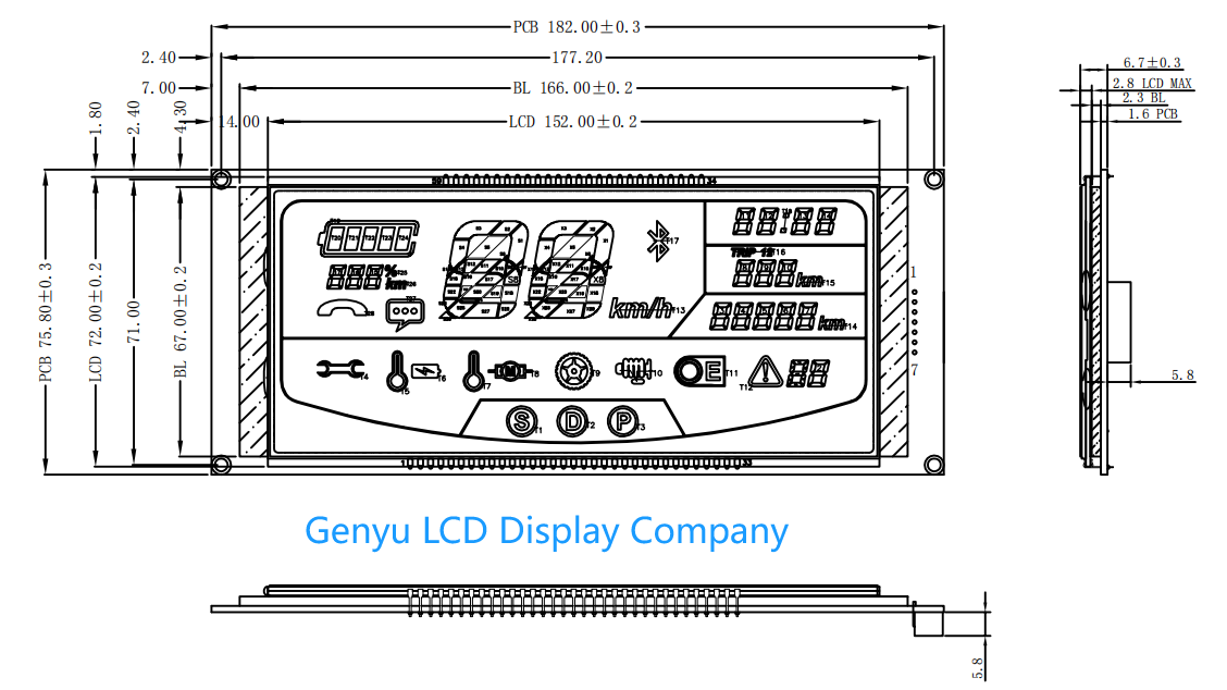 SEGMENT LCD.jpg