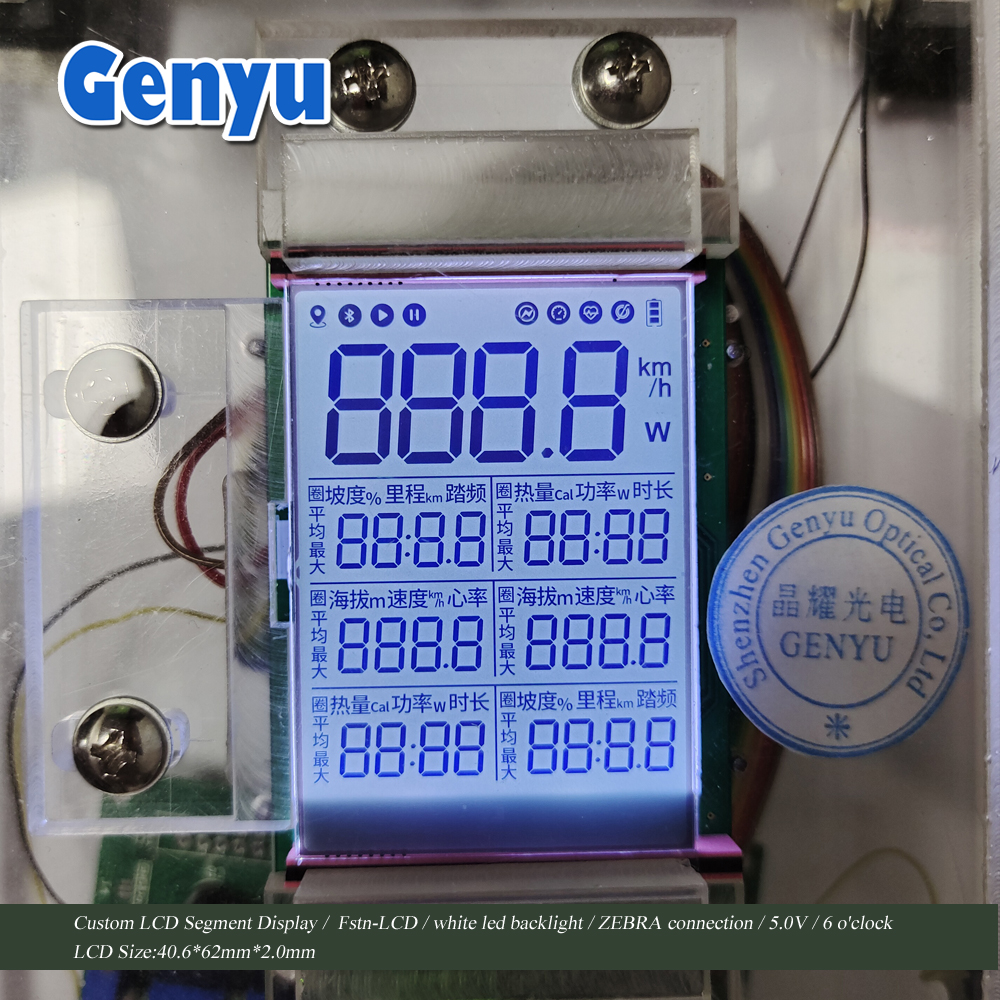 China LCD Factory Custom Fstn Positive Segment LCD Speedometer LCD Display