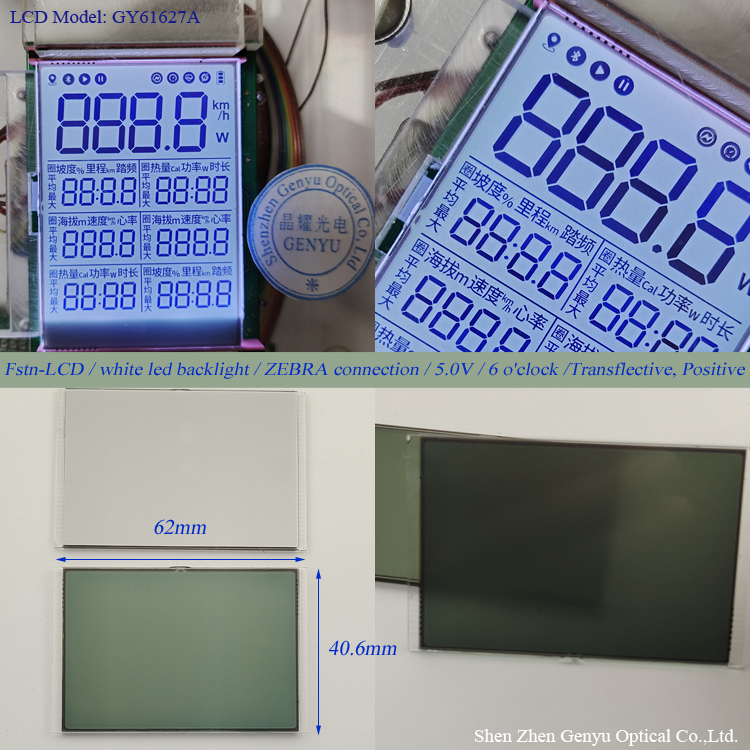 China LCD Factory Custom Fstn Positive Segment LCD Speedometer LCD Display