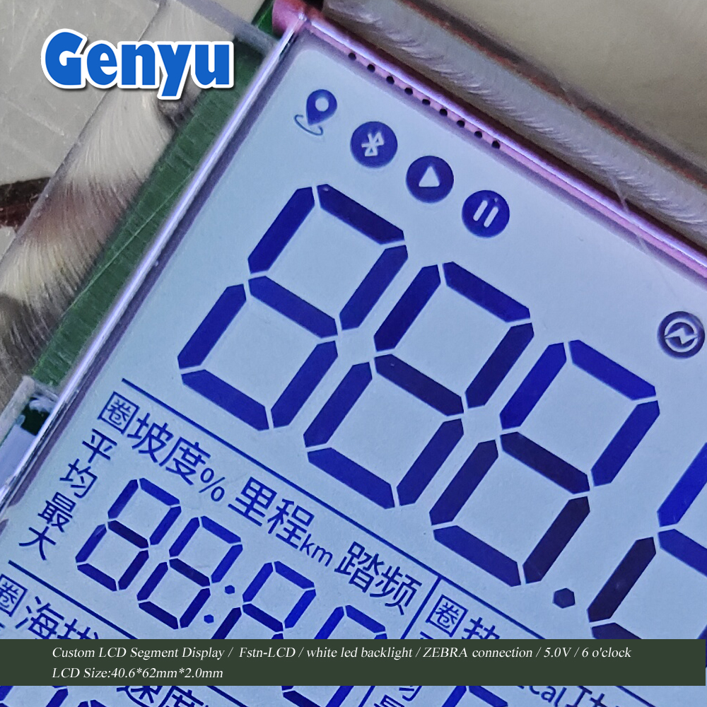 China LCD Factory Custom Fstn Positive Segment LCD Speedometer LCD Display