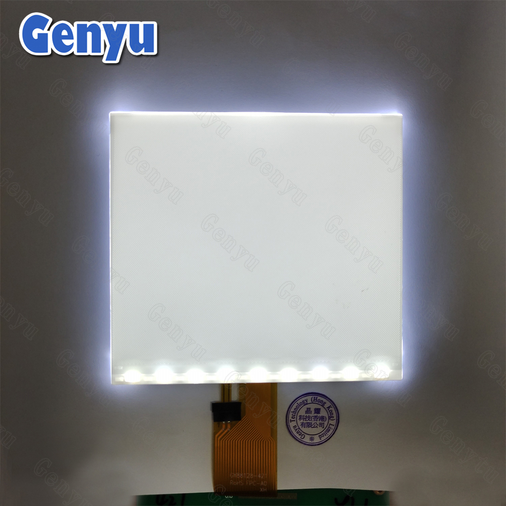 China Factory Custom Fstn LCD White LED Backlight Segment LCD For Electronic scale