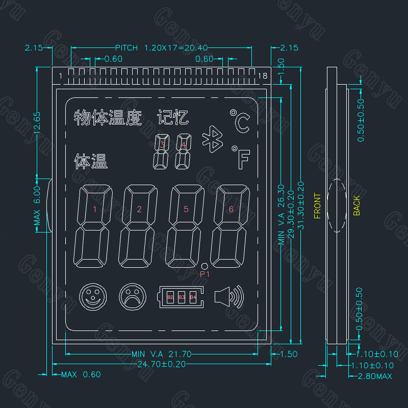 China Factory Custom TN LCD Thermometer Display Segment LCD Display