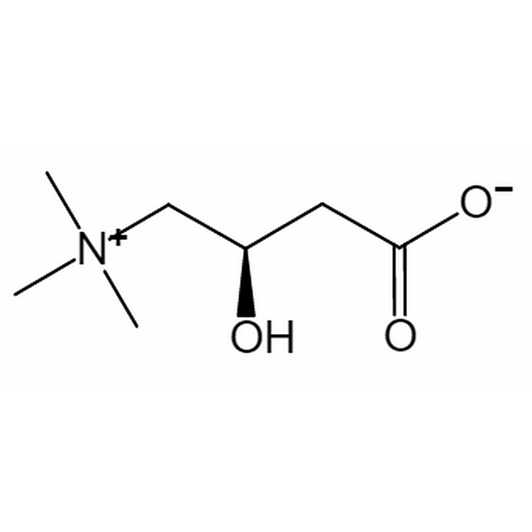 What is L-Carnitine Used For?