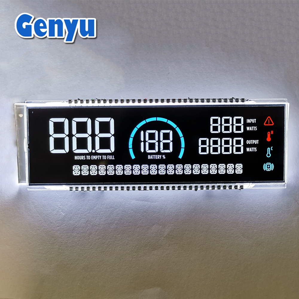 Monochrome Segment LCD Display