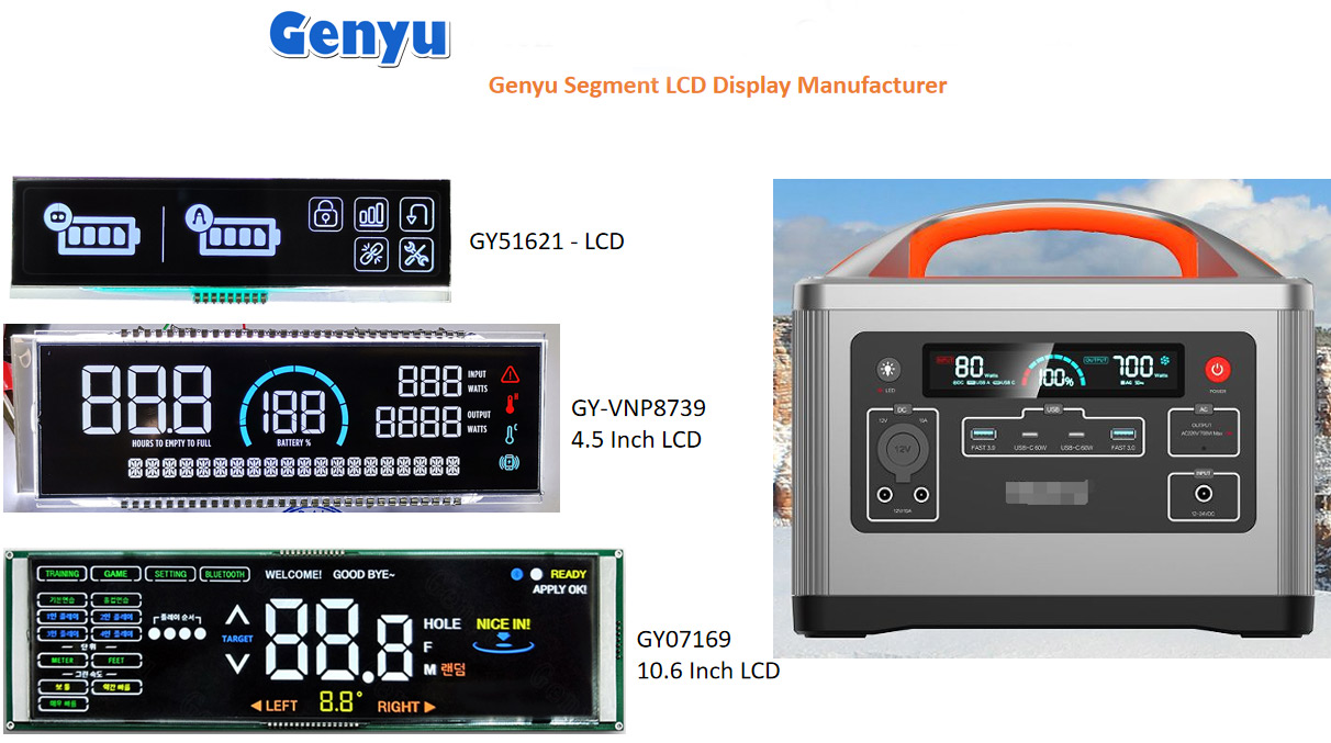 Monochrome Segment LCD Display