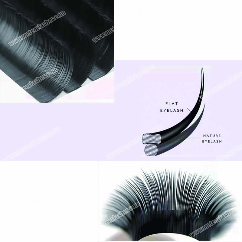 Unraveling the Mystery: Flat Lash vs Round Lash