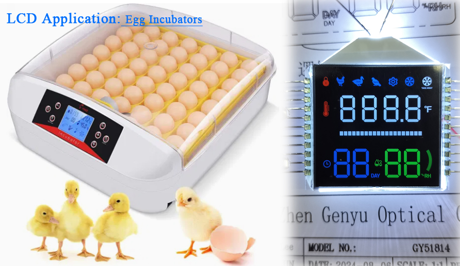 Egg Incubators LCD display.jpg