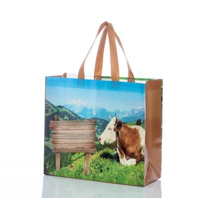 Application of Shopping Bag in Commercial Promotion