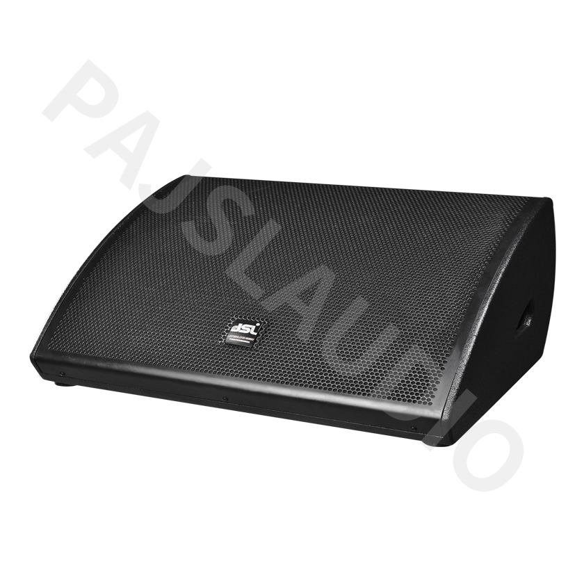 JSL professional Monitor Audio Passive Speaker Stage Monitor CU-12