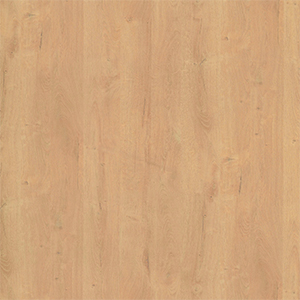 Anti-bacterial High Pressure Laminate