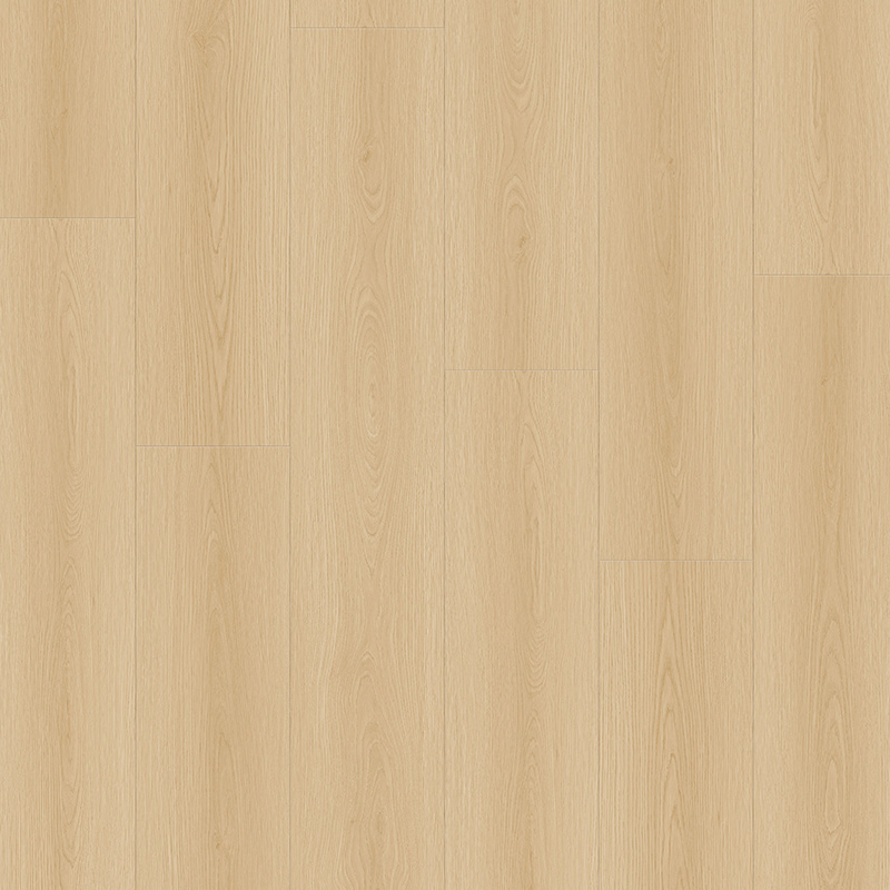 Eggmolt Oak Laminate Floor