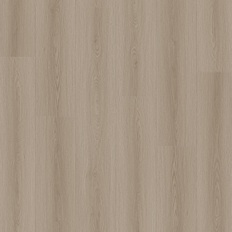 Eggmolt Oak Laminate Floor