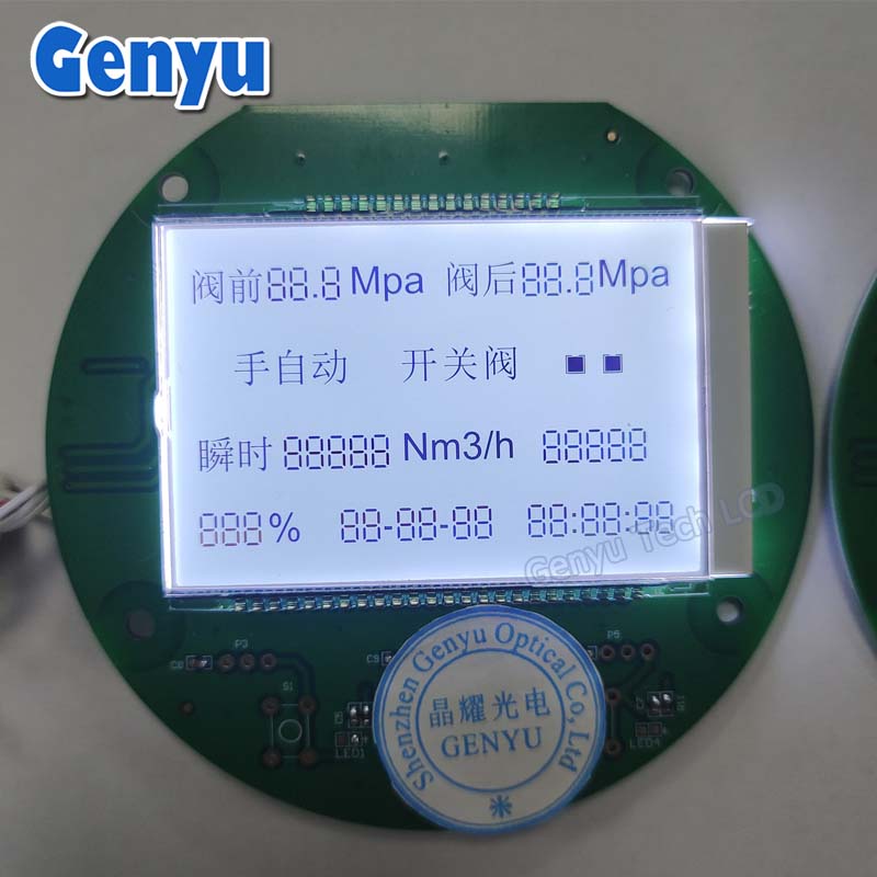 Fstn Black White LCD Module COB LCM Segment Display For Industrial LCD