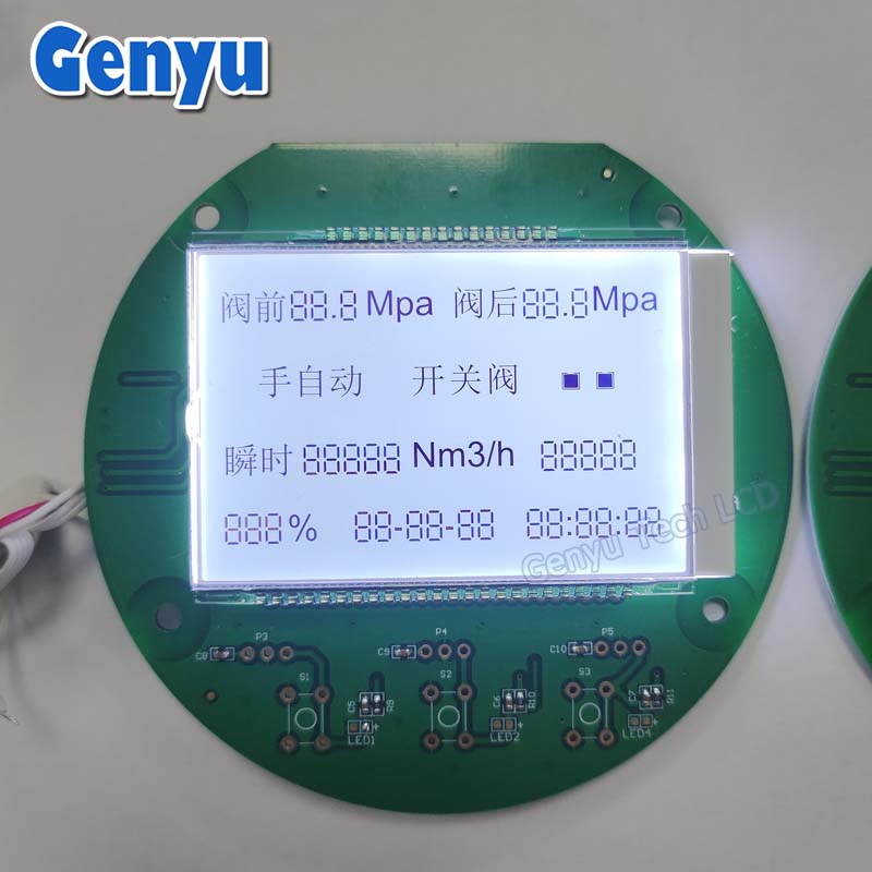 Fstn Black White LCD Module COB LCM Segment Display For Industrial LCD