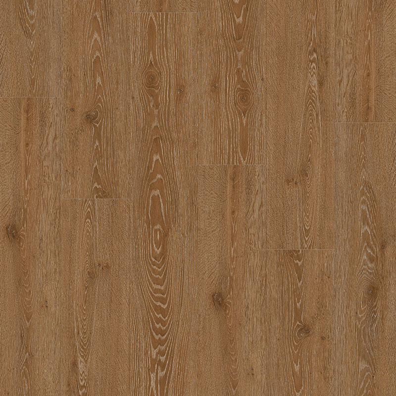 Charte Oak Laminate Floor