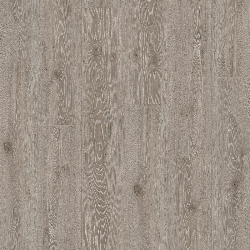 Charte Oak Laminate Floor
