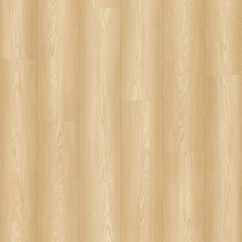 Grace Oak Laminate Floor
