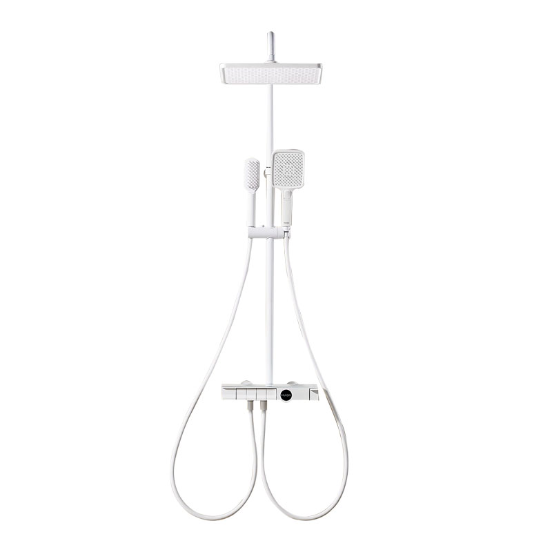 Luxury Multi-Function Shower Sets(S34263BE01-T05)