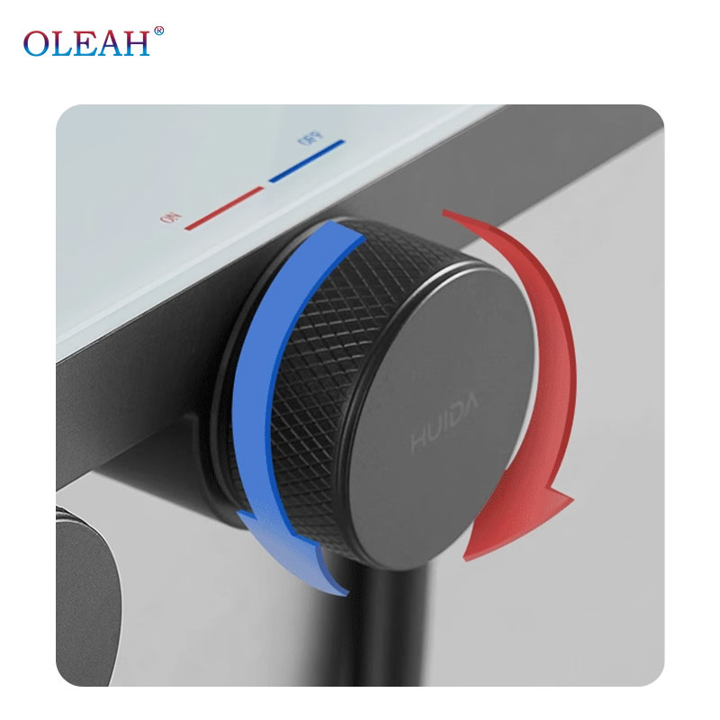 Wall-Mounted Shower Sets(S34265HE01-T01)