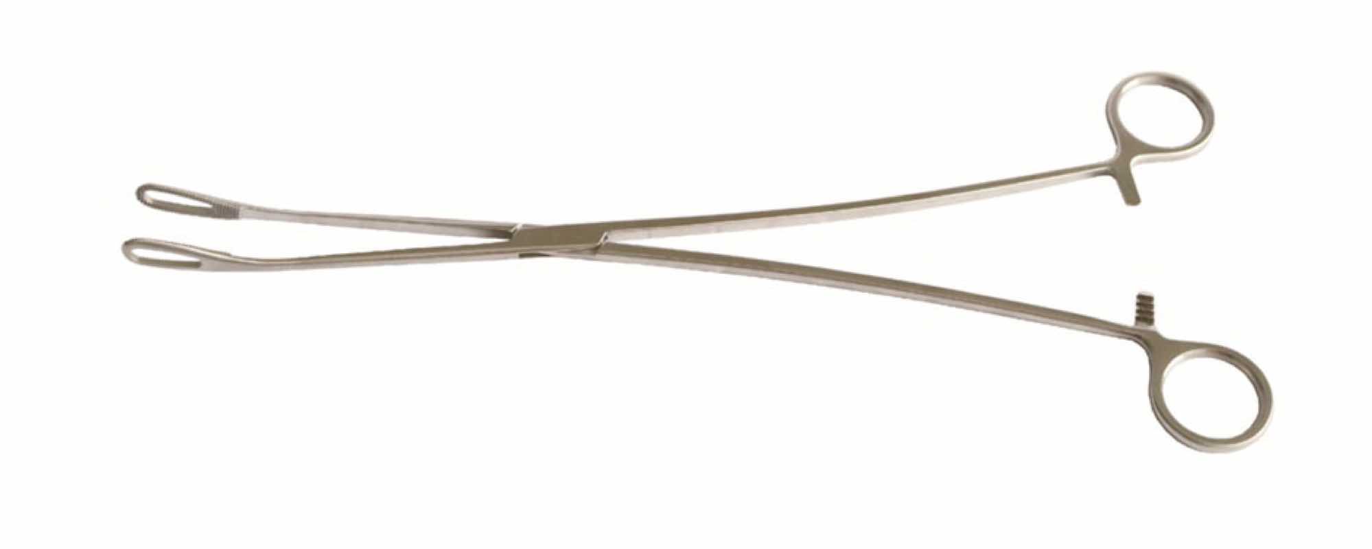 Single joint sponge forceps with teeth