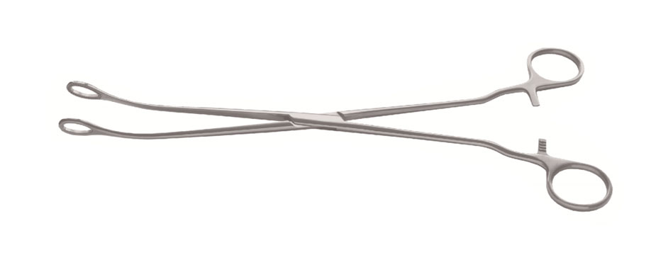 Single-joint sponge forceps 