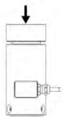 Canister Load Cell T199F