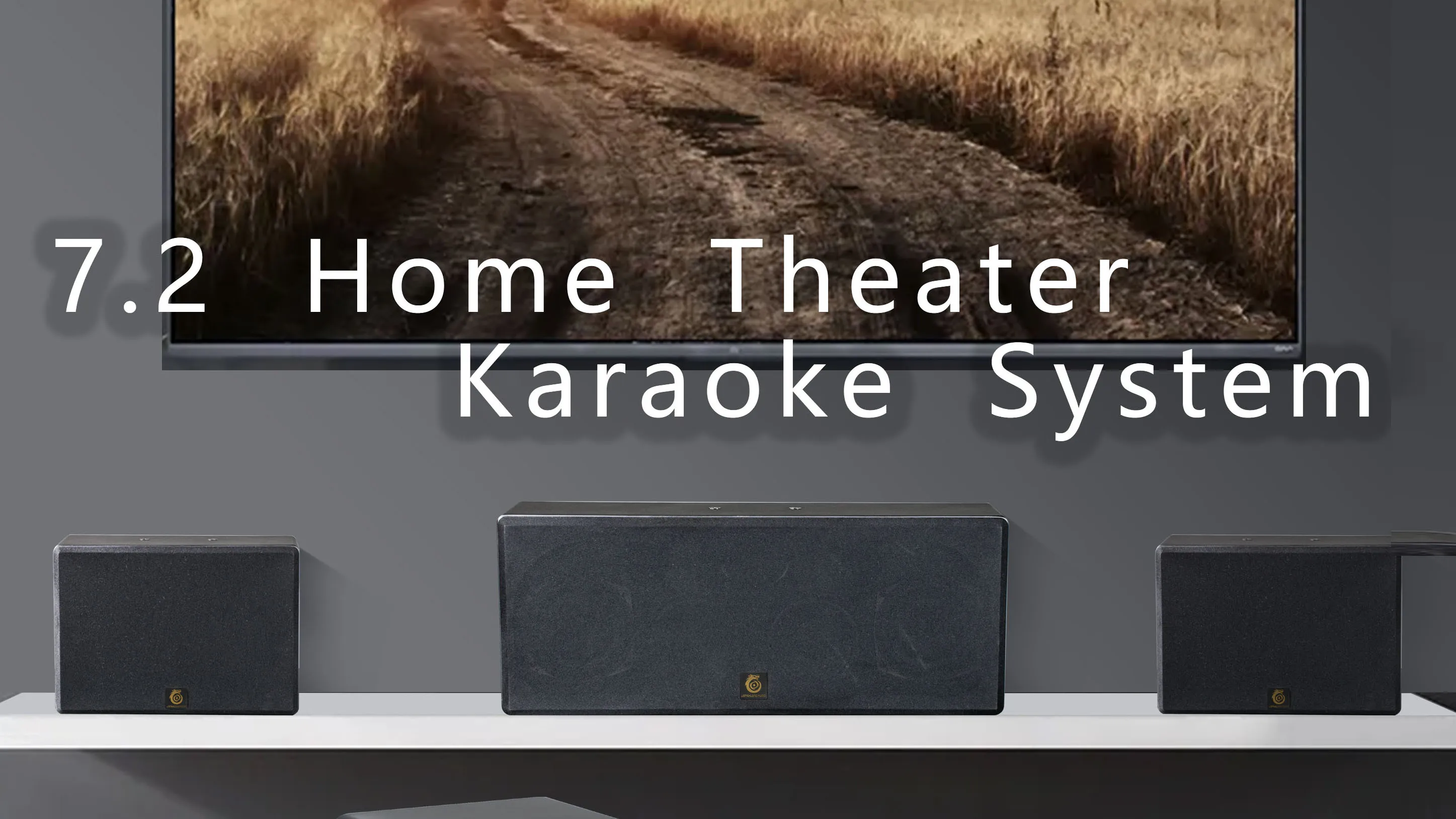 home theater system factory.webp