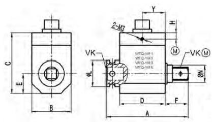 Dynamic Torque Sensor T908G