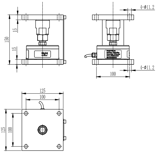 Weighing Module T011