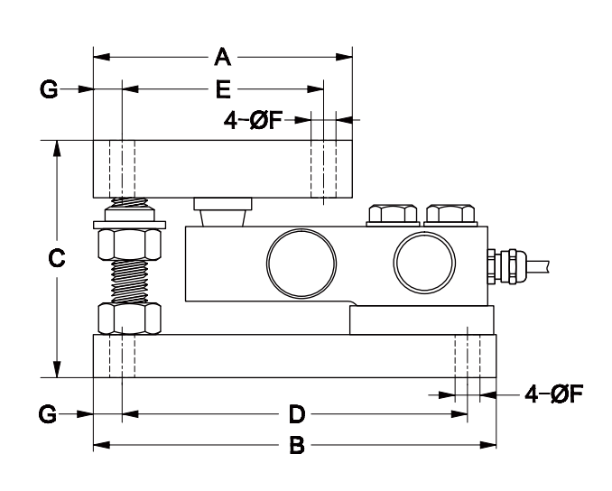 Weighing Module T002