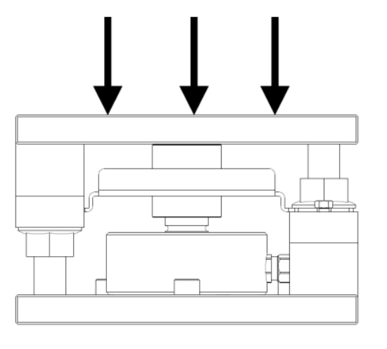 Weighing Module T008