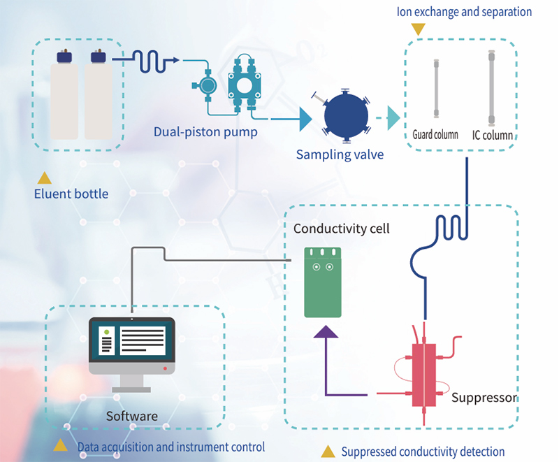 Ion Exchange Column Chromatography