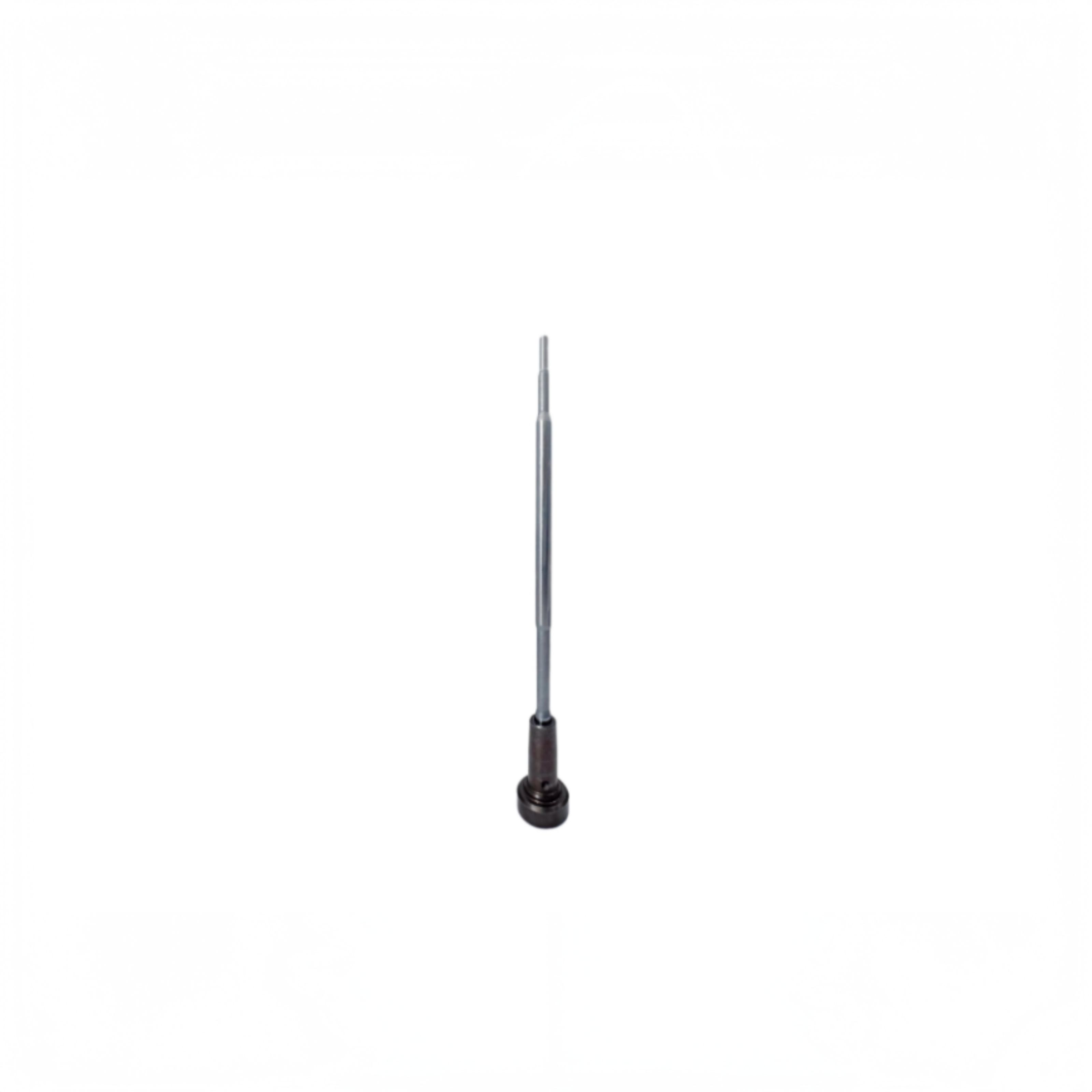 Common rail valve assembly