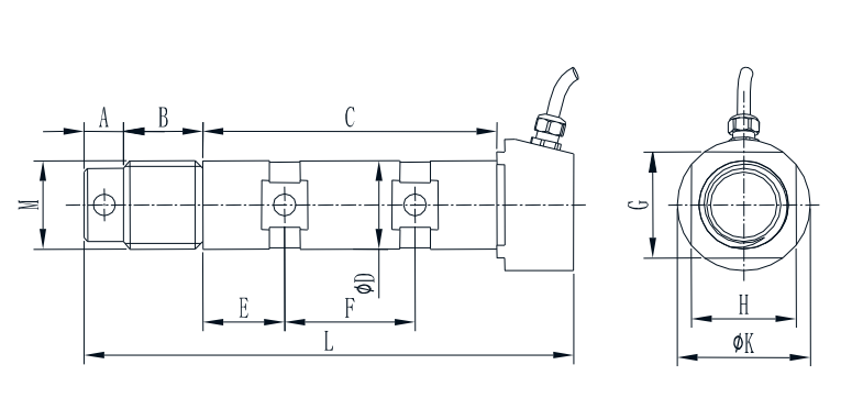 Custom pin load cell T905