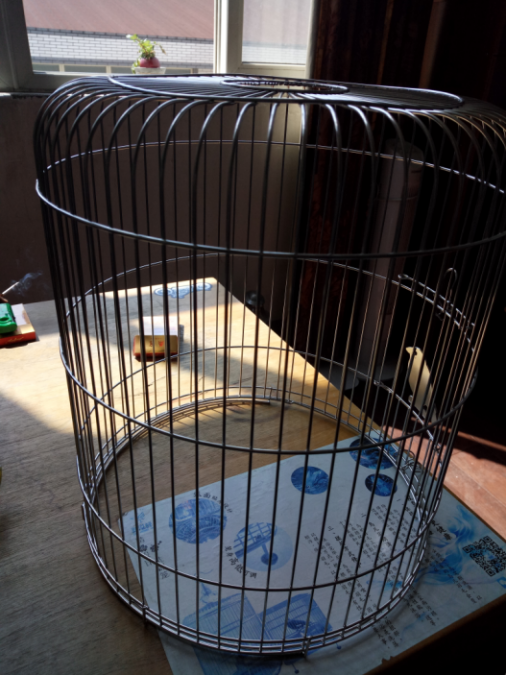 How JCXLC Automated Equipment Transforms Bird Cage Manufacturing