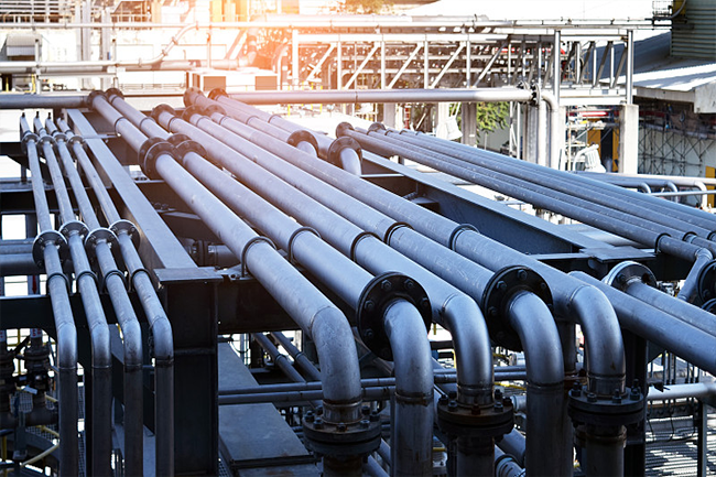 Industrial cold storage electric accompanied by tropical maintenance points