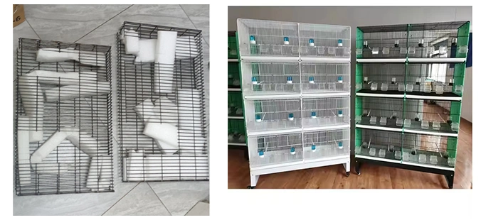 Redefining Efficiency in Small Pet Cage Manufacturing