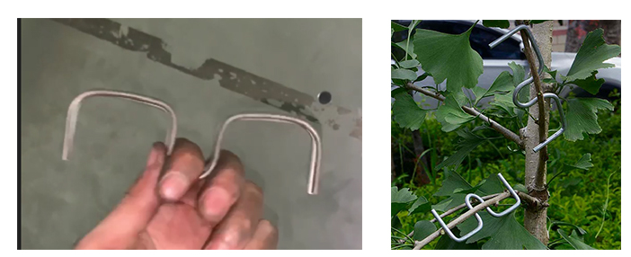 Smart Forestry Meets Precision Wire Bending