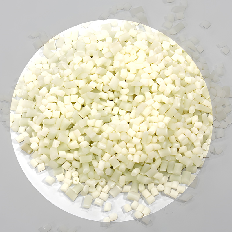 Nylon 10 Resin