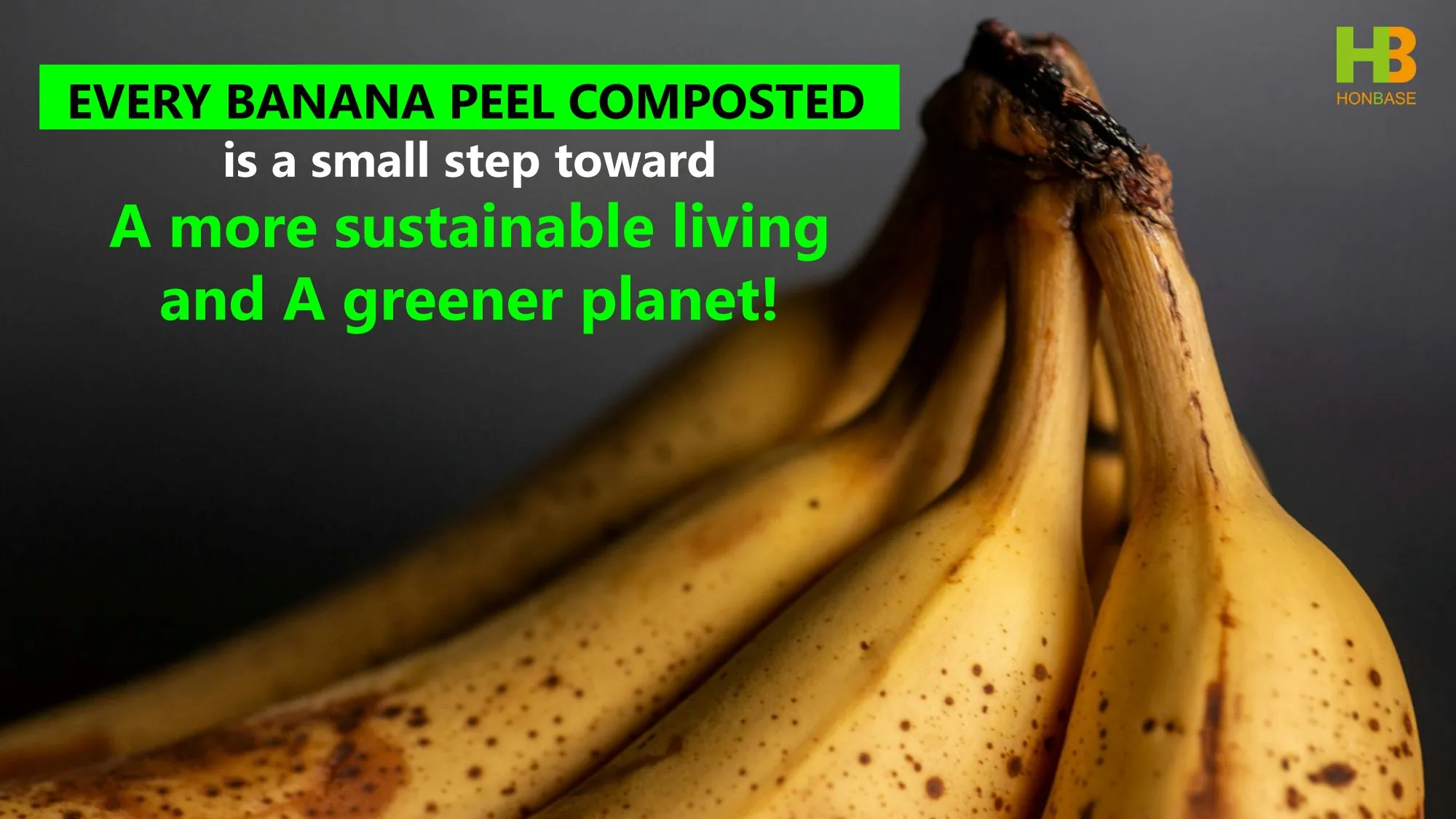 Food Waste Composter