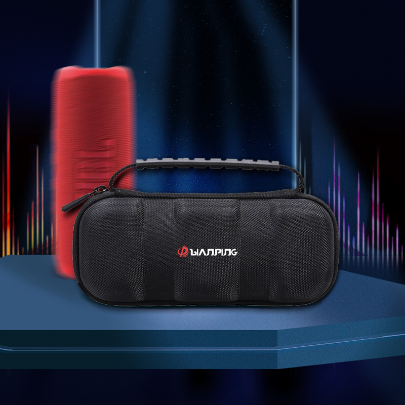 RLSOCO Carrying Case for MINI Bluetooth Speaker