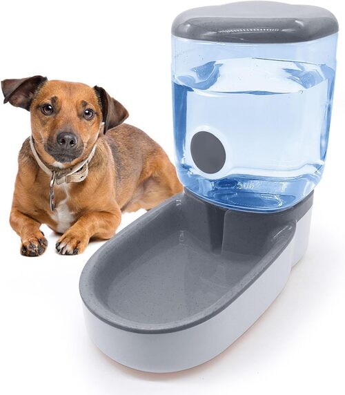 Raised Dog Feeder with Slow Feeder