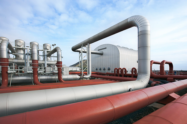 Application of Companion Tropics in Poultry Farming