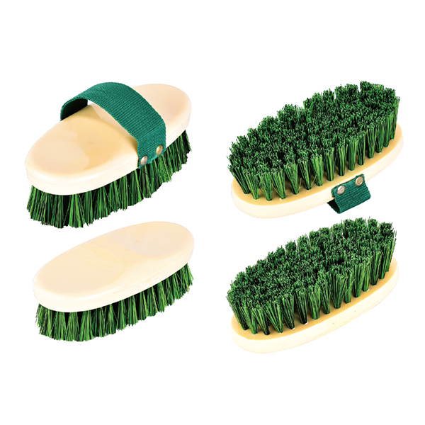 Essential Grooming Tools for Horse Care: From Plastic Body Brushes to Show Combs