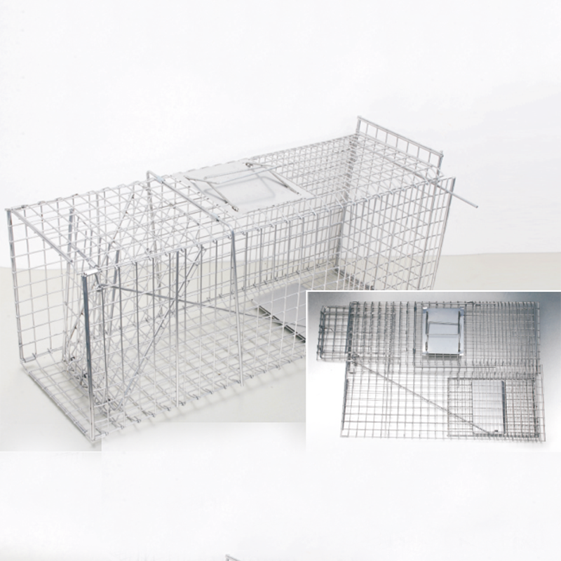 Collapsible Animal Traps Offer Humane and Convenient Wildlife Control