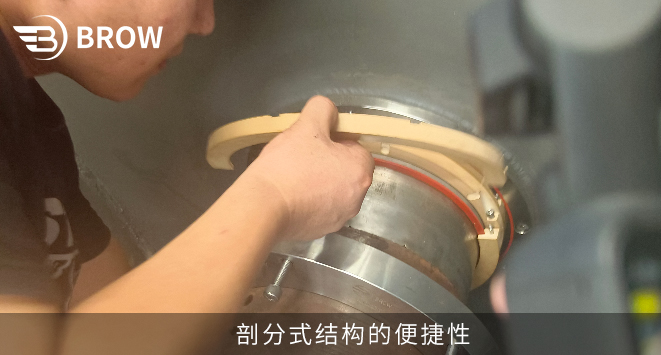 Analysis of the Application of High-performance Rotary Shaft Seals in the Shaft End Seals of Ribbon Mixers
