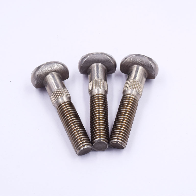 Stainless Steel Special-Shaped Fasteners