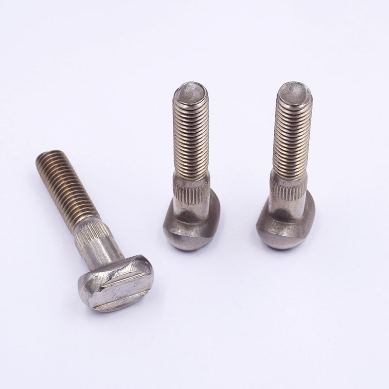 Stainless Steel Special-Shaped Fasteners